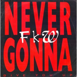 FKW ‎– Never Gonna (Give...